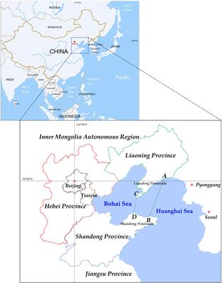 Evaluation of sustainable development of the Bohai Sea Rim based on integrated land–sea management: a multi-system coupling and coordination study at coastal, provincial, and city level